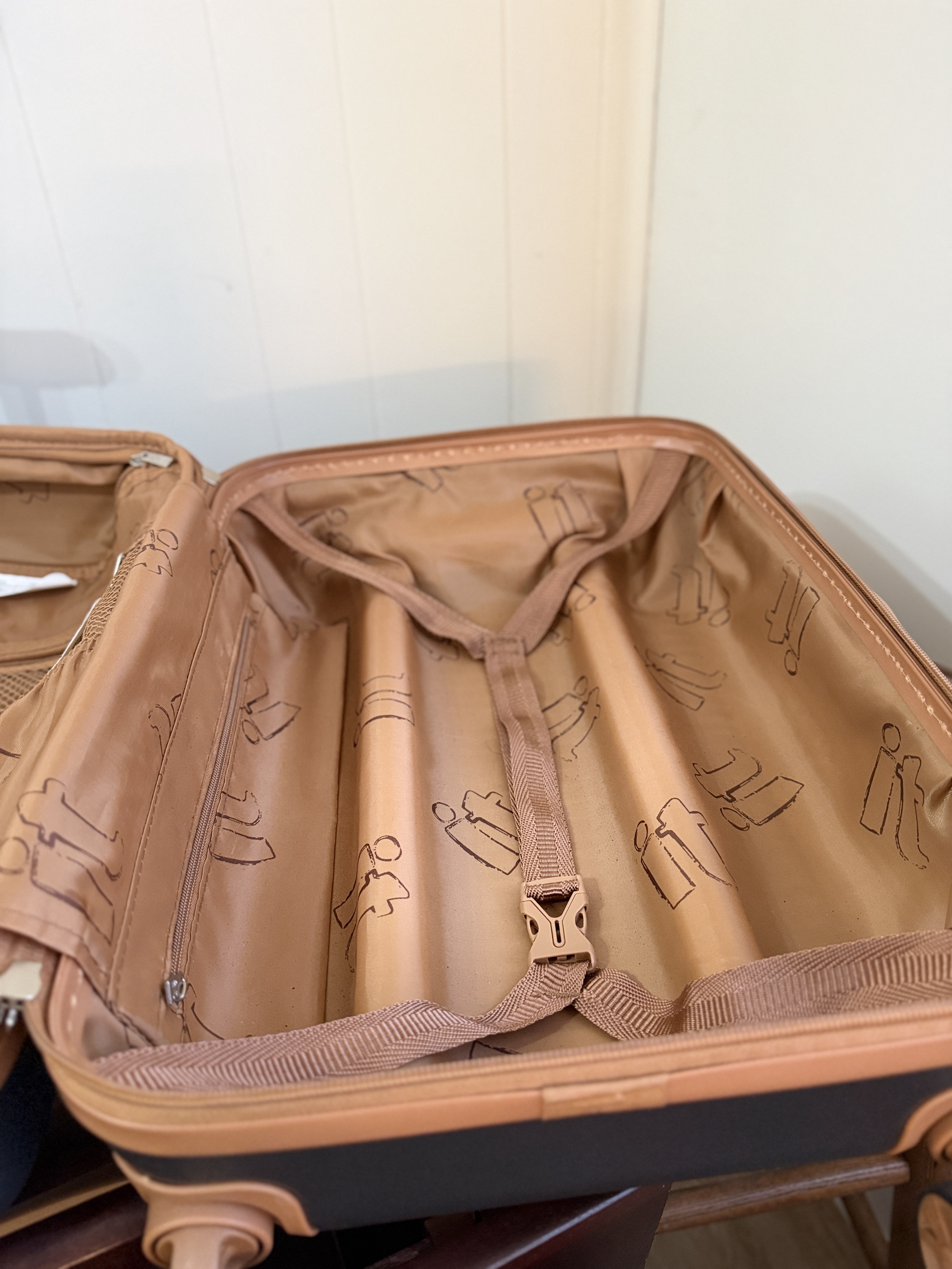 it Hard Shell Carry-On Suitcase – Spinner Wheels, Blue & Tan Travel Luggage